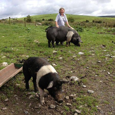 Willa Burren Glamping Kilfenora Zewnętrze zdjęcie