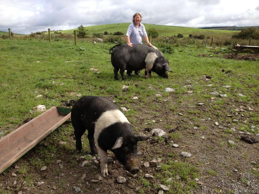 Willa Burren Glamping Kilfenora Zewnętrze zdjęcie
