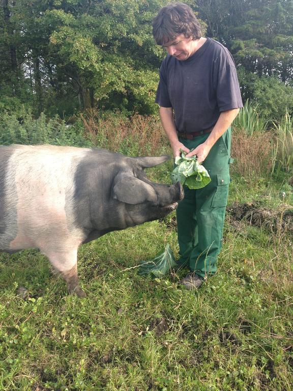 Willa Burren Glamping Kilfenora Zewnętrze zdjęcie
